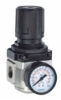 Pneumatic Regulator